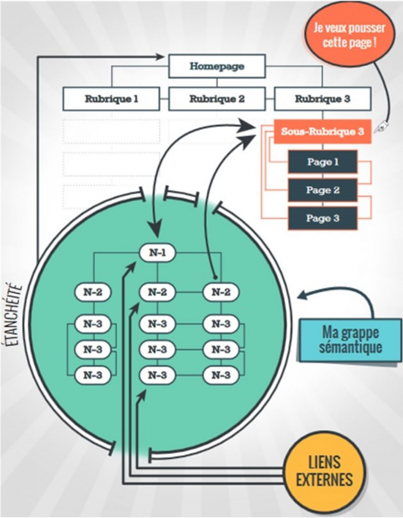 Le process du cocon sémantique